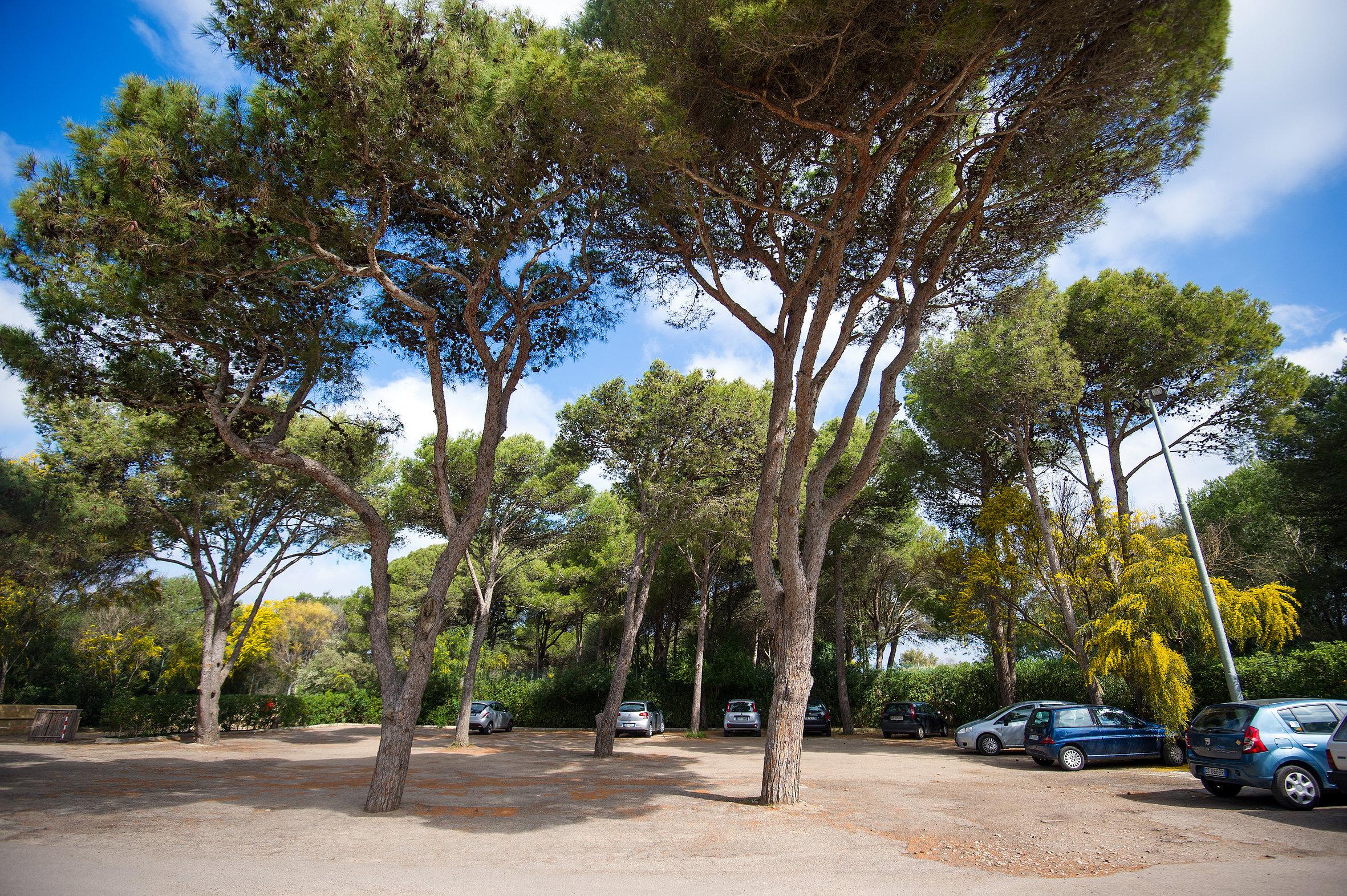 Hotel Ecoresort Le Sirene - Caroli